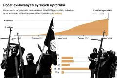 Sýrie - grafika - náhled