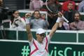 Davis Cup - Česko vs. Nizozemí (česká radost)