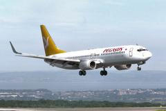 Pegasus Airlines