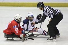 Sledge hokejisté na MS 2013 (vs USA)