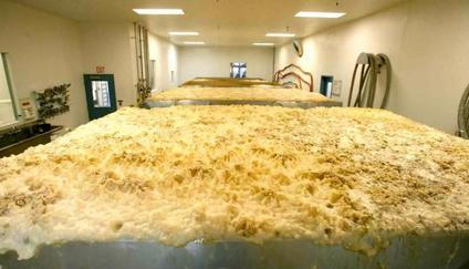 Jak se vyrábí pivo