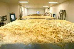 Jak se vyrábí pivo