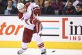 NHL: Phoenix Coyotes at Toronto Maple Leafs (Vrbata)