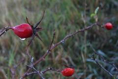 Podzim - krajina - České středohoří