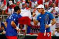 Tomáš Berdych a Radek Štěpánek v Davis Cupu