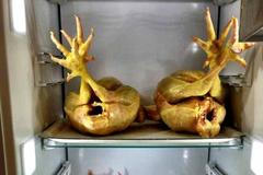 Noma, restaurace, Dánsko