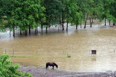 Povodně na Úslavě ve Starém Plzenci