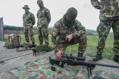 Odstřelovači hradní stráže