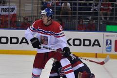 MS 2014, Česko - USA: Tomáš Hertl - Tim Thomas