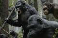 Úsvit planety opic Dawn of the Planet of the Apes