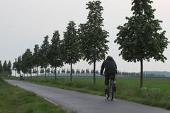 Dolní Břežany v den voleb do Evropského parlamentu