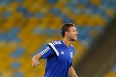 MS 2014: Edin Džeko