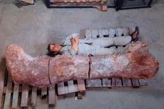 V Argentině našli největší kostru dinosaura