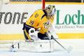 NHL: Boston Bruins vs Nashville Predators (Mazanec)