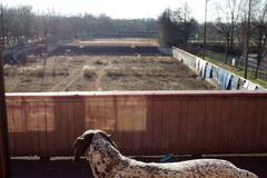 tenisové kurty Letná