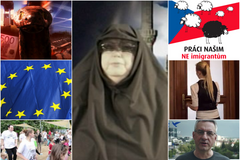 What the film WTF Eurovolby 2014 video