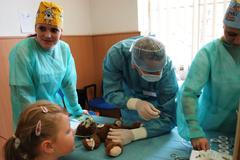 Nemocnice zvířátek v Brně