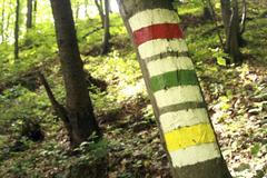 Vybíráme ty nejhezčí cesty, nejlíp s hospodou. Mapu nepotřebujete, říká šéf českých značkařů