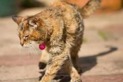 VIDEO Poppy oslavila 24 let