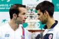 Finále Davis Cupu 2013 (Djokovič, Štěpánek)