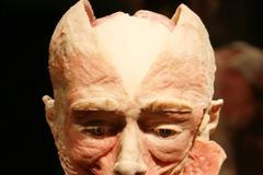 Výstava mrtvol? Je to, jako byste přivezli kostku heroinu a vydávali ji za exponát, tvrdí Čižinský