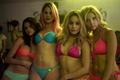 Spring Breakers