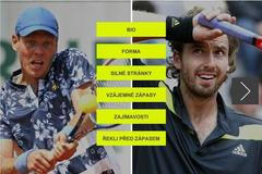 Grafika Berdych vs Gulbis