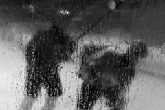 Česká hokejová reprezentace