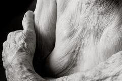 Projekt Anastasie Pottinger Centenarians