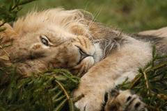 Šance pro děti 2011