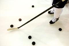 Play off NHL 2013 - puky