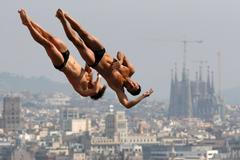 MS v plavání v Barceloně 2013 (skoky do vody)