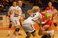 Házená: Česko - Norsko