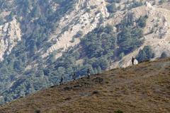 Horské oblasti Alžírska a Tuniska se staly úkrytem pro ozbrojené islamisty.