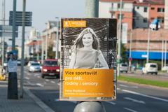 Předvolební inzerce