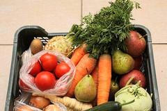 Bedýnky - farma - farmář - biopotraviny - zelenina, ovoce