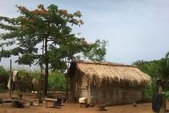 Epidemie Eboly v Africe