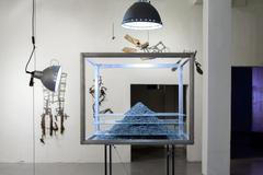 Platónovo třetí oko