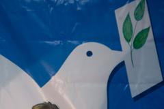 File picture shows Iranian poet Simin Behbahani speaking at a conference in Tehran