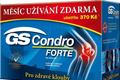 GS Condro