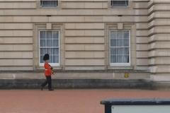 Strážce před Buckinghamským palácem