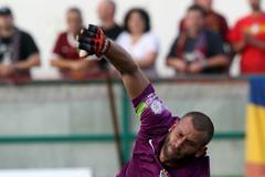 SL, Bohemians-Sparta: David Bičík