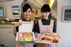 Hello Kitty, letadlo