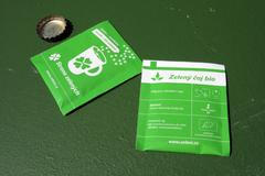 Zelení před volbami do EP