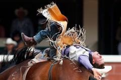 Rodeo v Calgary