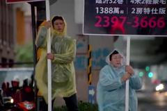 Tsai Ming Liang Toulaví psi