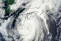 MODIS image from NASA's Terra satellite shows Typhoon Halong in the Pacific Ocean