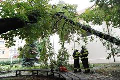 Hasiči odstraňují následky noční bouřky