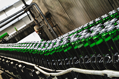 Pivo - ilustrační snímek