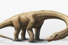 Dreadnoughtus schrani